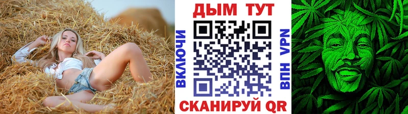 МЕФ Городовиковск