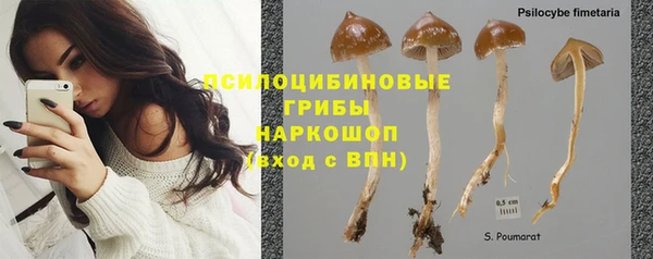 прущая мука Володарск